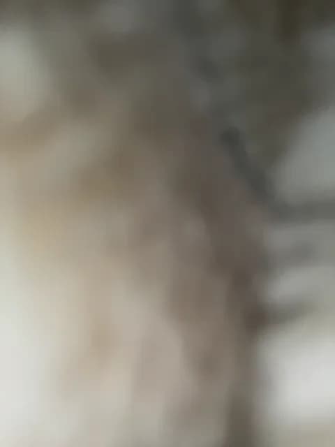 KARASEVDAKINOGO Cam Archive - February 4, 2026 10:25 (78min)