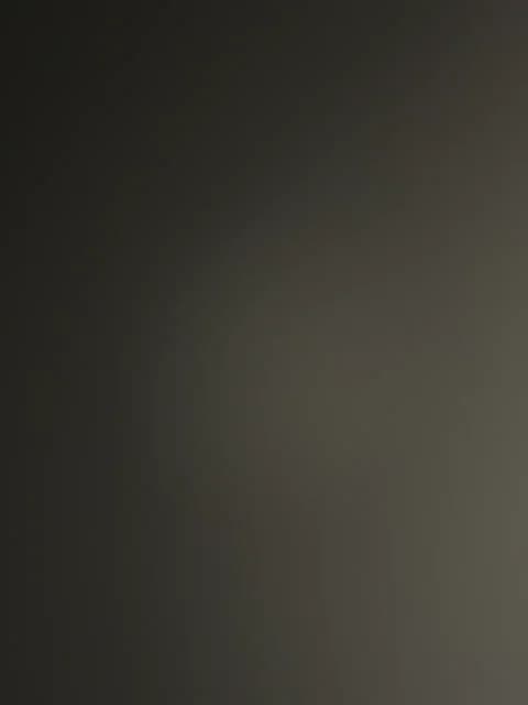 Likachkaa Cam Archive - January 26, 2026 11:31 (53min)