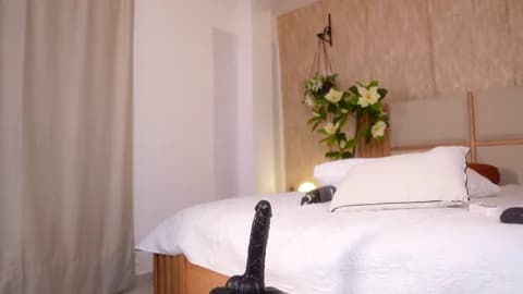 ana_maria11 Cam Archive - January 12, 2026 09:39 (120min)