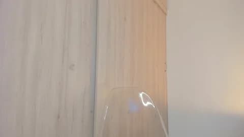 aurora_bunnie Cam Archive - January 13, 2026 07:33 (72min)