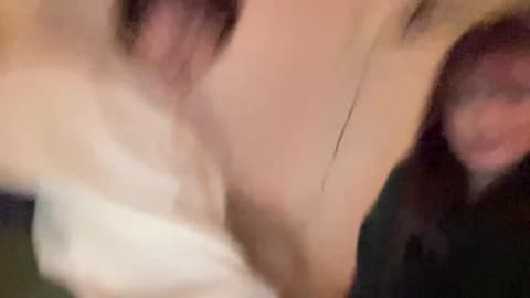 bkws985 Cam Archive - February 21, 2026 04:12 (60min)