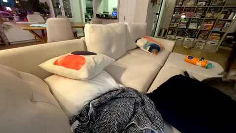 emmachoice Cam Archive - January 17, 2026 24:53 (103min)