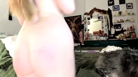 eve003300 Cam Archive - February 21, 2026 04:17 (90min)