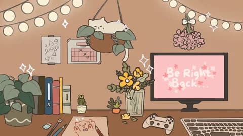 fijisakistar Cam Archive - January 17, 2026 08:08 (120min)