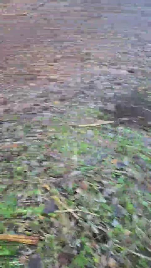 likescock5 Cam Archive - January 16, 2026 16:36 (64min)