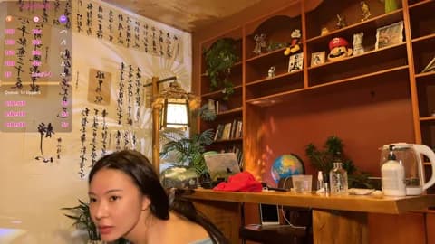 meowLili Cam Archive - April 12, 2026 14:13 (62min)