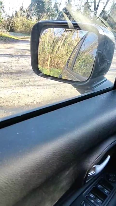 nudo_xxx Cam Archive - January 11, 2026 11:10 (78min)