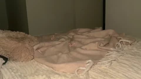 taliavaine Cam Archive - January 19, 2026 20:56 (100min)