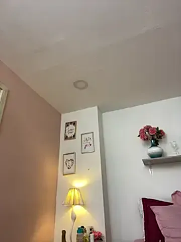 LauraRaider Stripchat Model - Cam Recordings